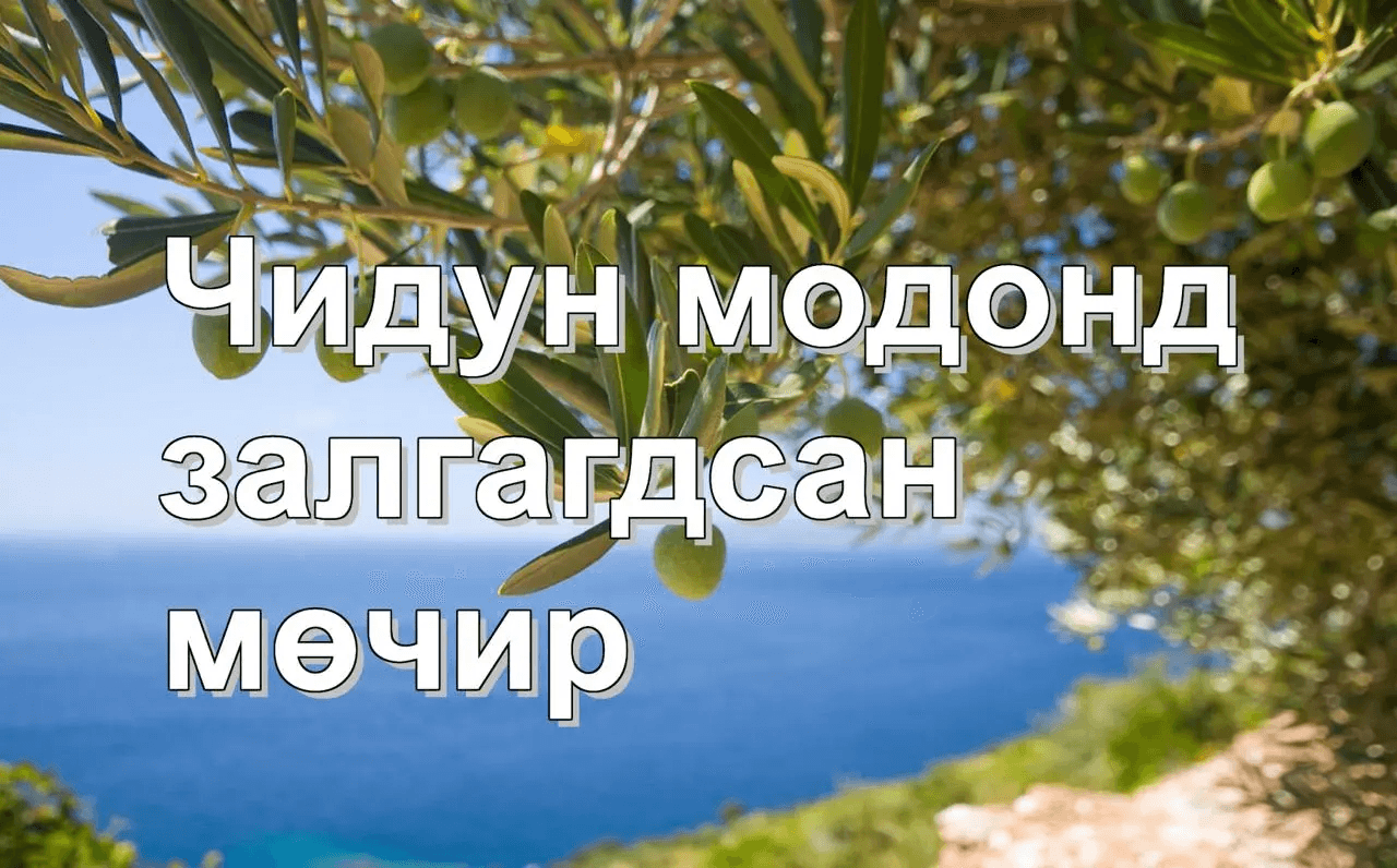 Христийн Бие Израилд залгагдсан мөчир мөн үү?