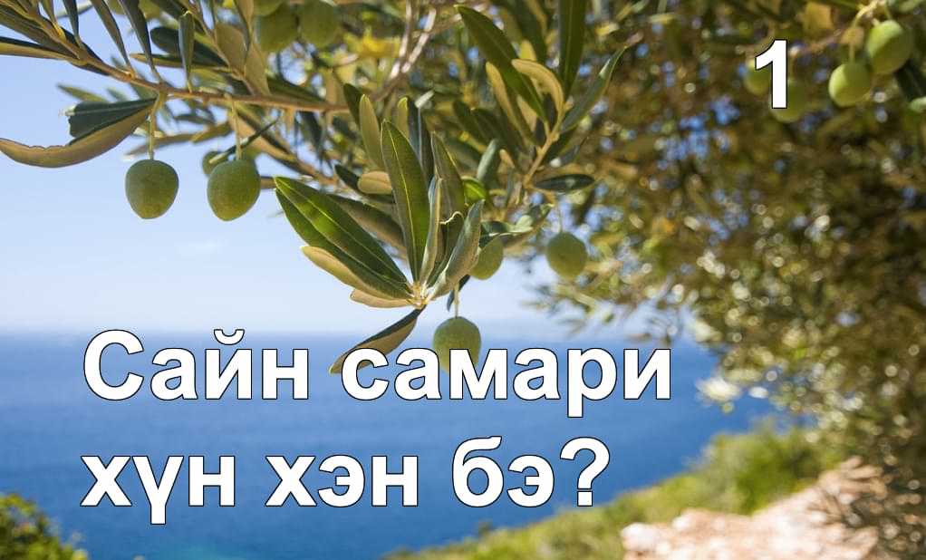 Сайн Самари хүн чухам хэн бэ?