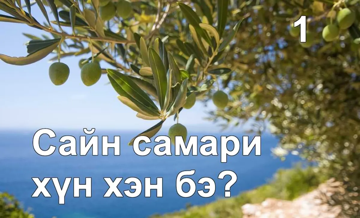 Сайн Самари хүн чухам хэн бэ?